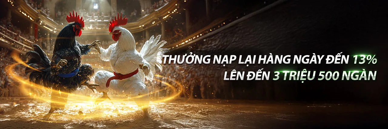 Đá Gà hh888vi: Sân Chơi Kịch Tính